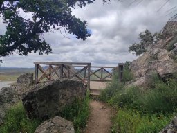 Flora del Cerro Masatrigo